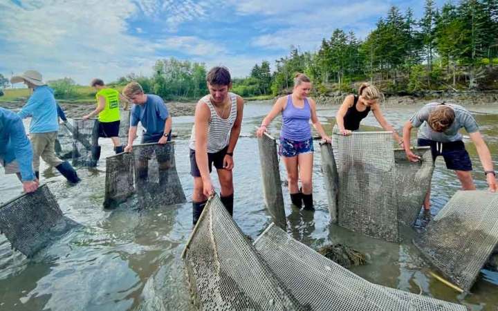 a group of teens use nets to shift through ocean water during a service project on an outward bound expedition 